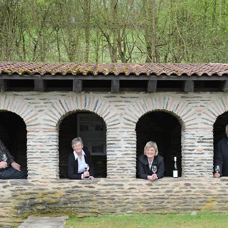 Gaestehaus Wein Im Turm Longuich Zewnętrze zdjęcie